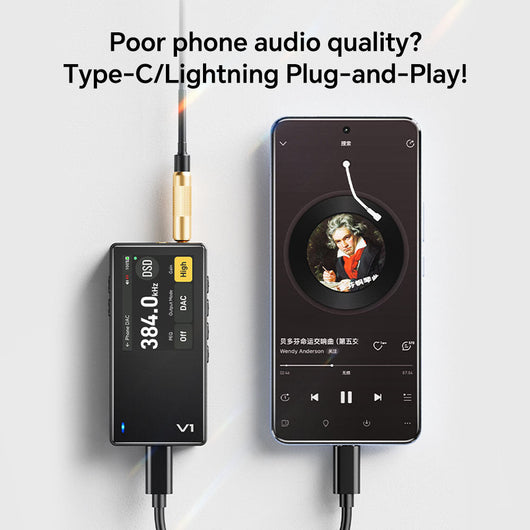 TempoTec Variations V1 HiFi Music Player